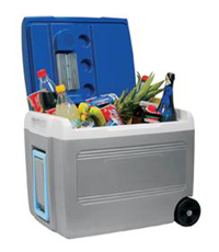 E40 Electric 12v Roll Cooler